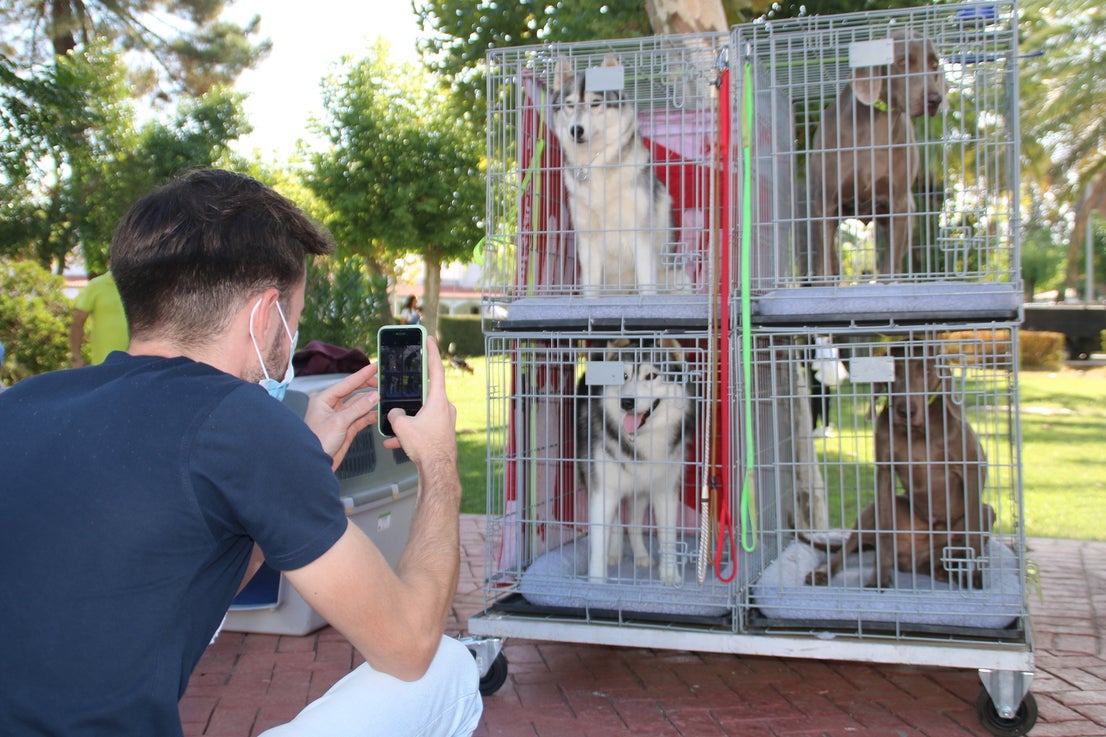 Participantes en el I Concurso Canino Nacional celebrado en Entrerríos. 
