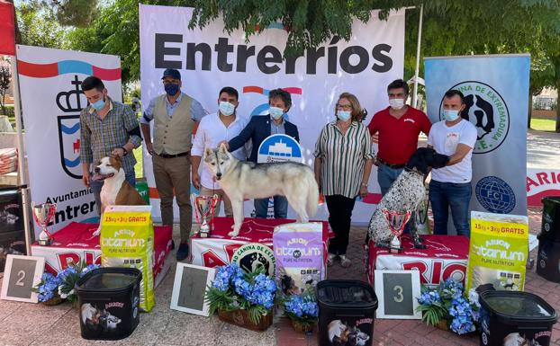 Algunos de los perros ganadores en Entrerríos. 