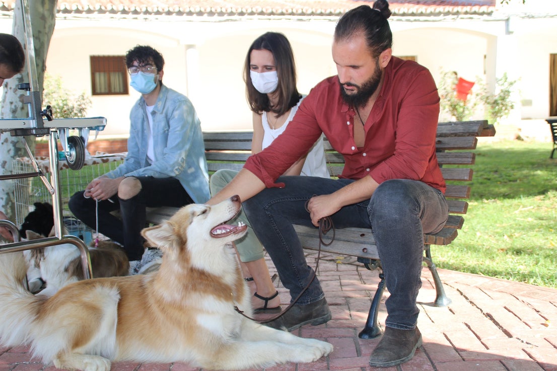 Participantes en el I Concurso Canino Nacional celebrado en Entrerríos. 