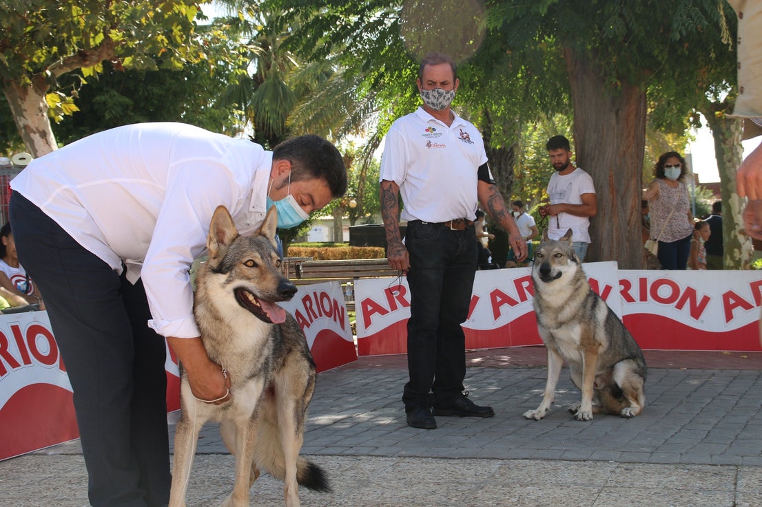 Participantes en el I Concurso Canino Nacional celebrado en Entrerríos. 