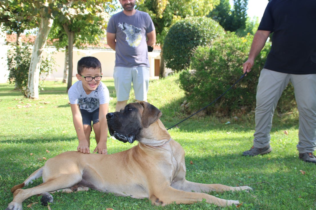 Participantes en el I Concurso Canino Nacional celebrado en Entrerríos. 