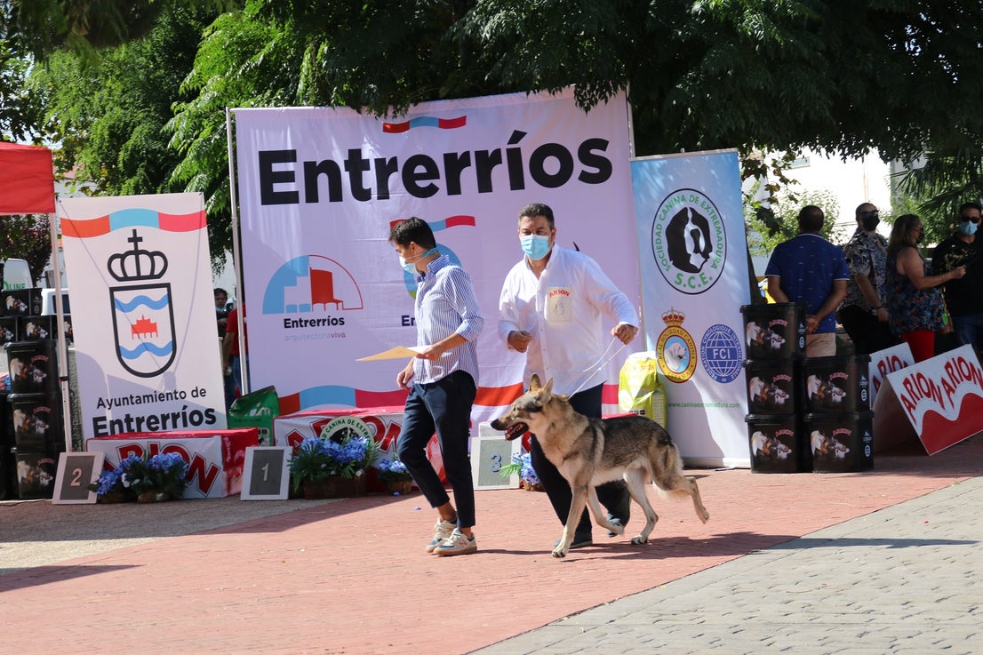 Participantes en el I Concurso Canino Nacional celebrado en Entrerríos. 