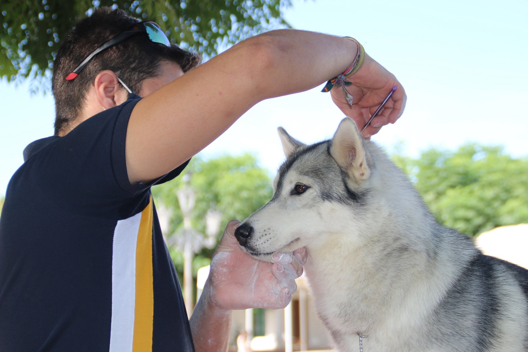 Participantes en el I Concurso Canino Nacional celebrado en Entrerríos. 