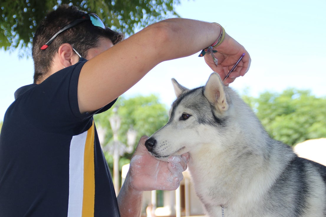 Participantes en el I Concurso Canino Nacional celebrado en Entrerríos. 