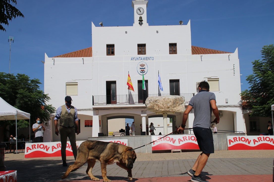 Participantes en el I Concurso Canino Nacional celebrado en Entrerríos. 