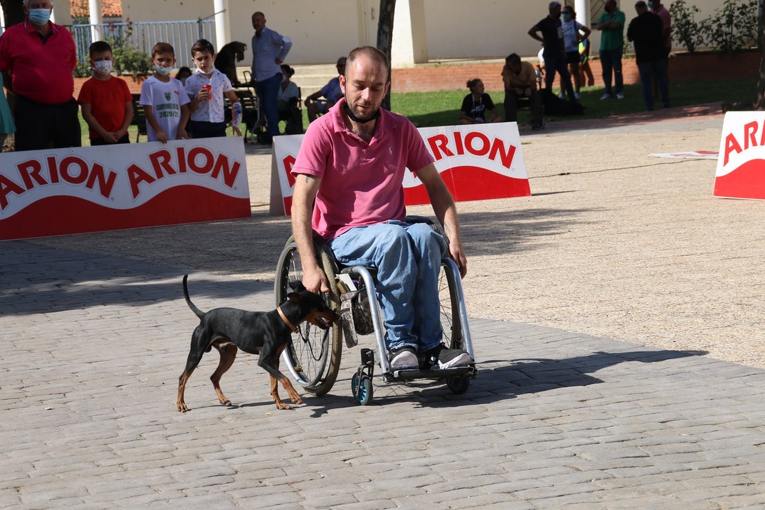 Participantes en el I Concurso Canino Nacional celebrado en Entrerríos. 