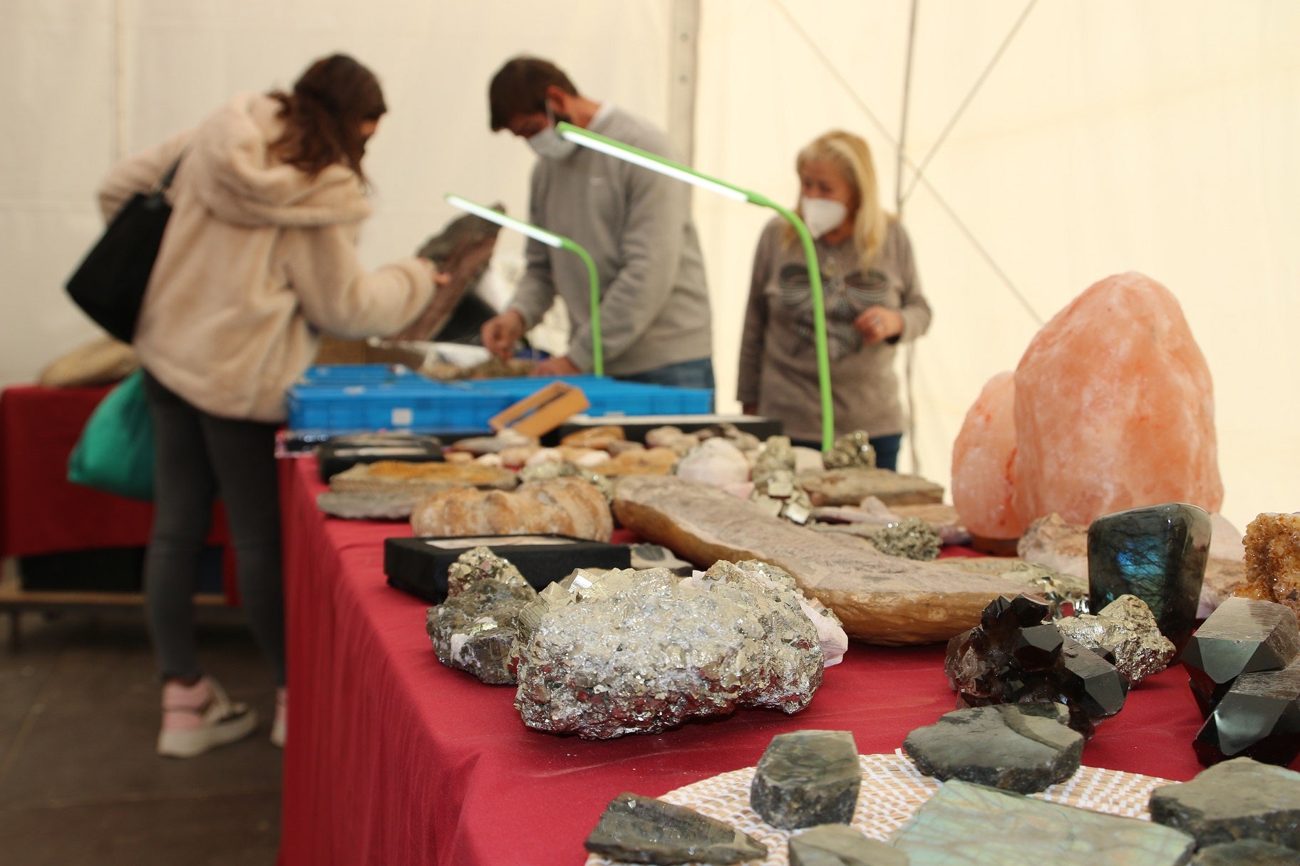 Visitantes en la XI Feria Internacional del Coleccionismo. 