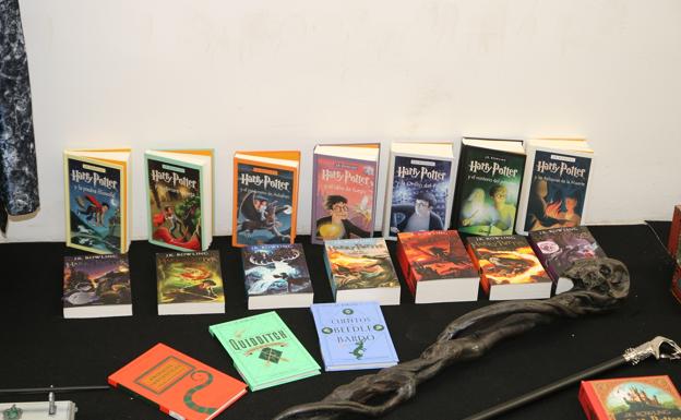 Colección de libros de Harry Potter de Víctor Gallardo. 