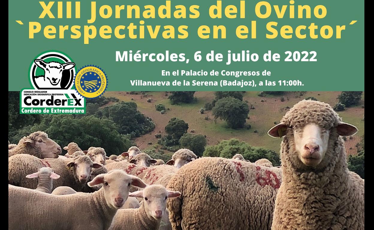 Las Jornadas del Ovino analizarán la sanidad y la PAC del sector este miércoles