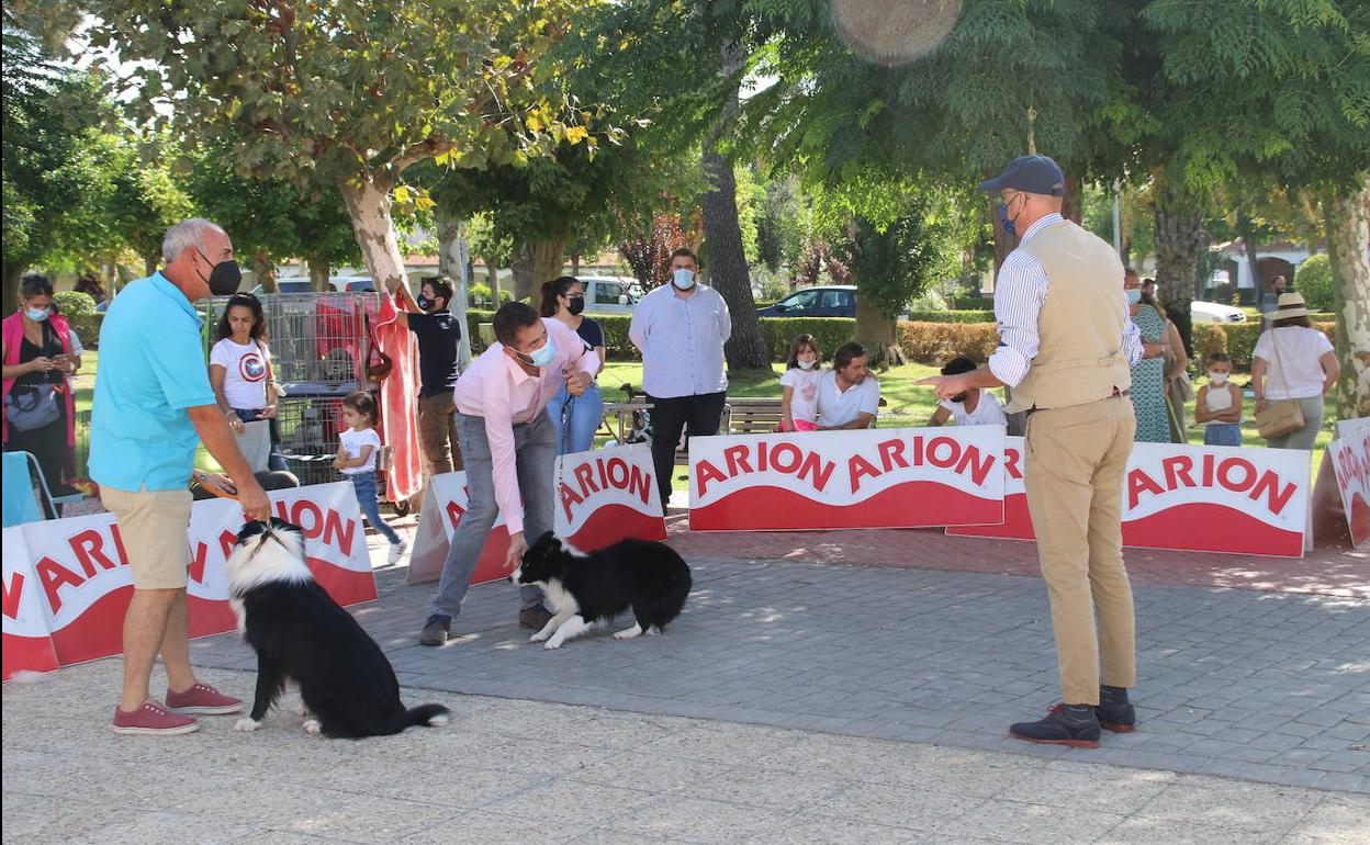 Concurso nacional canino en Entrerríos el pasado año. 