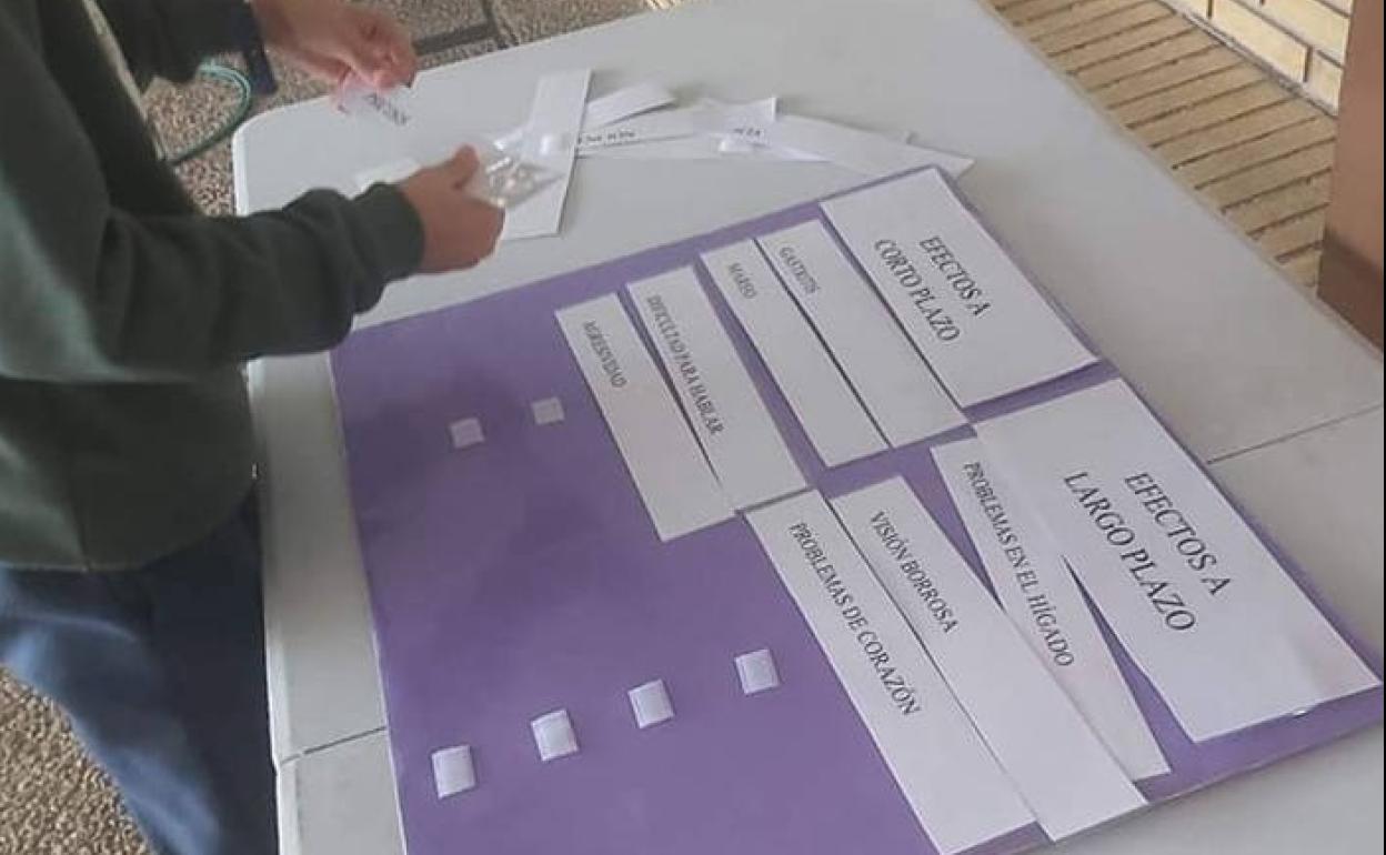 Actividades en los centros educativos. 