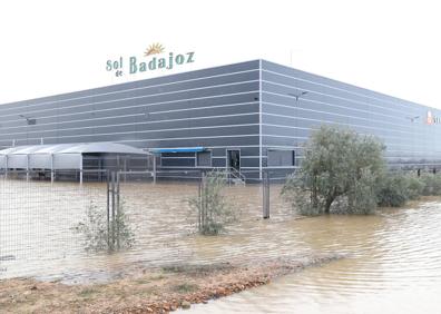 Imagen secundaria 1 - Varios puntos de la N430 a la altura de Valdivia. 