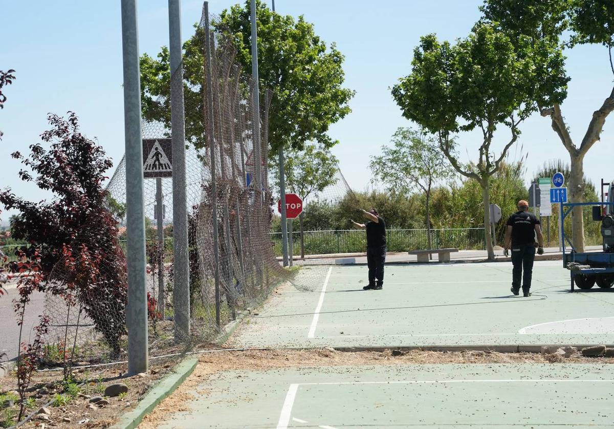 Comienzan las obras de las pistas deportivas del canal