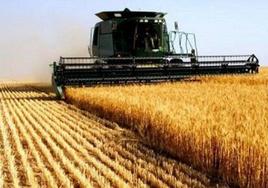 Desde el balcón de Magacela