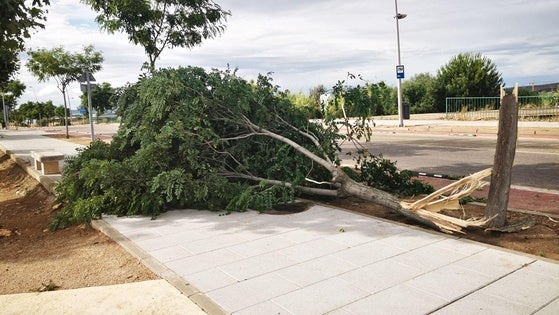 La lluvia y el viento causan problemas en algunos puntos de Villanueva
