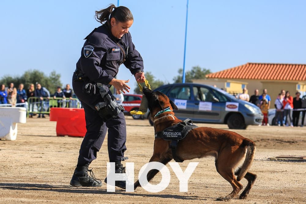 La Policía Local presume de su Unidad Canina en su 175º aniversario