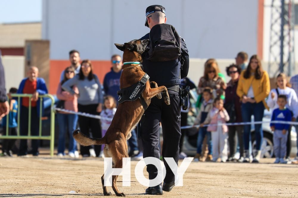 La Policía Local presume de su Unidad Canina en su 175º aniversario