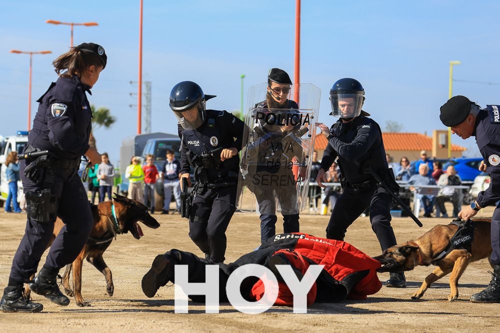 La Policía Local presume de su Unidad Canina en su 175º aniversario