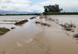 Daños causados por la crecida del Arroyo del Molar.