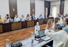 Gallardo se ausenta de su último pleno como concejal