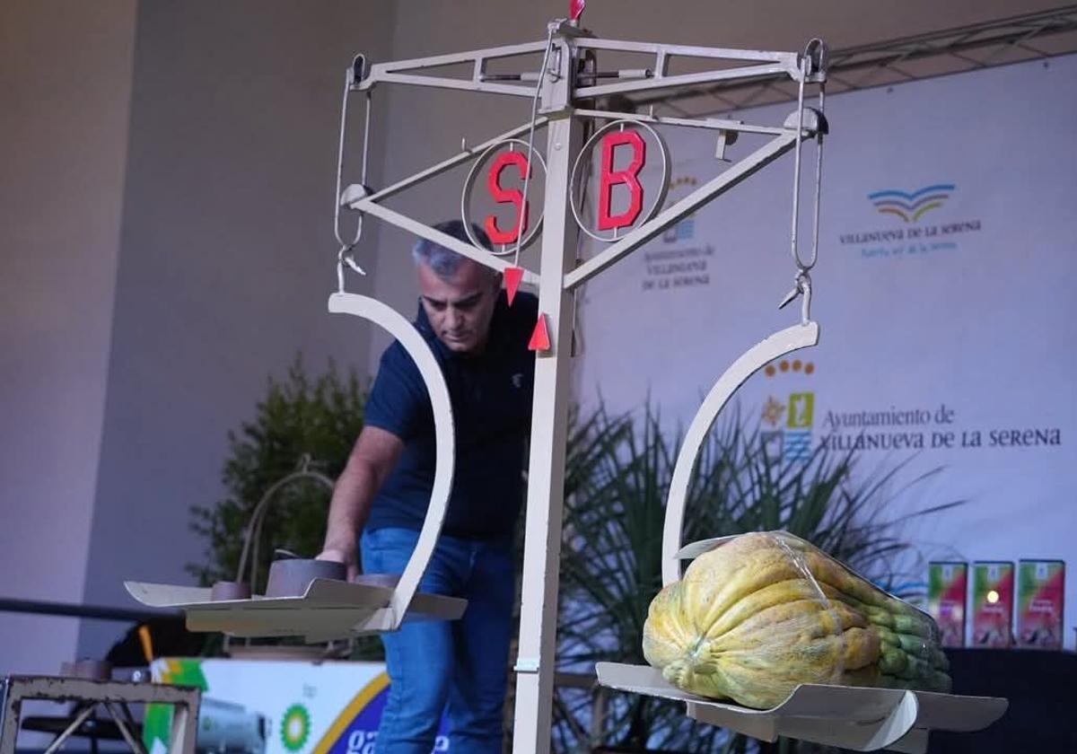 El concurso de melón y sandía bate récords de participación