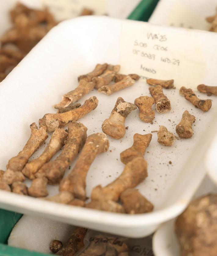 Imagen secundaria 2 - La Fiscalía se persona por primera vez en la fosa clandestina del cementerio