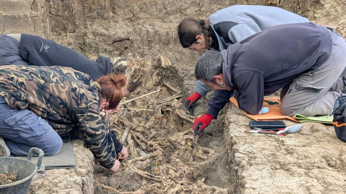 La Fiscalía se persona por primera vez en la fosa clandestina del cementerio