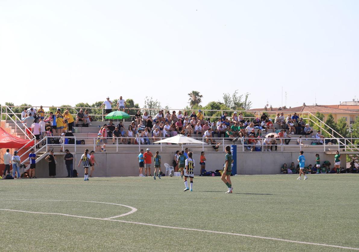 Estado actual de la grada.