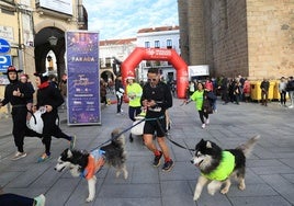 La Carrera de Navidad bate récord de participación