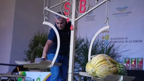 Publicadas las bases del concurso de melón y sandía