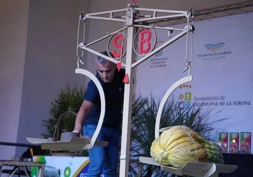 Publicadas las bases del concurso de melón y sandía