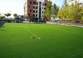 La pista del parque 'El Rodeo' estrena nuevo césped