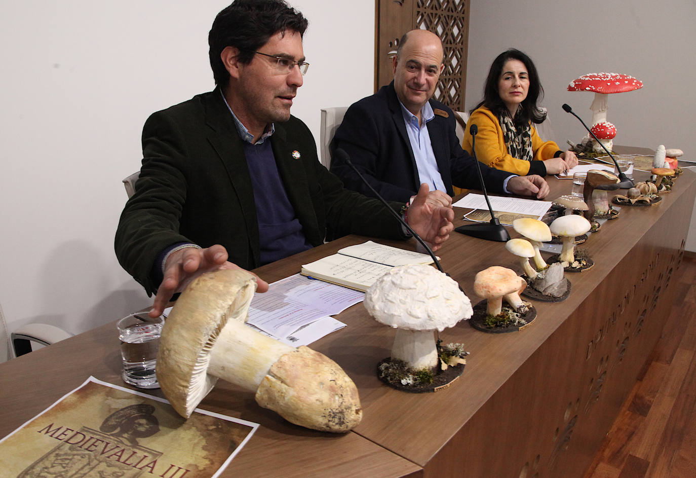 Presentación de la tercera edición de Medievalia