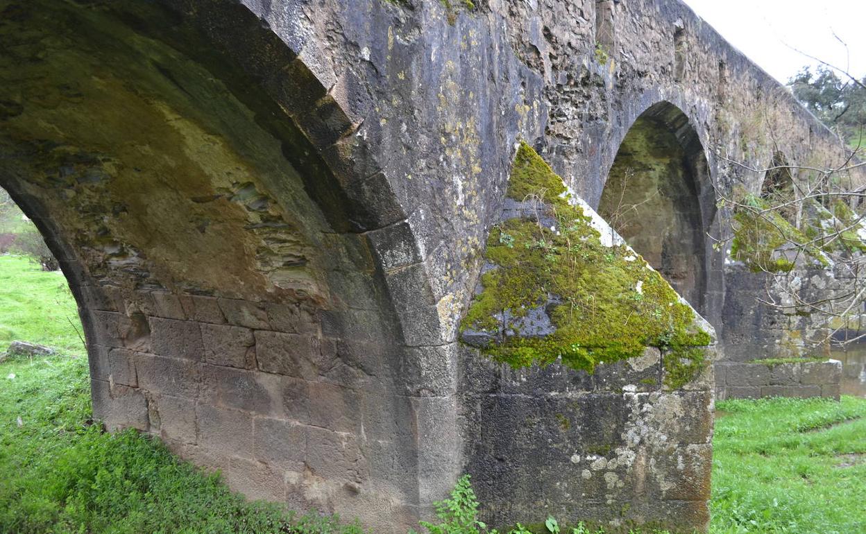 Detalle del puente de la Bogaña.