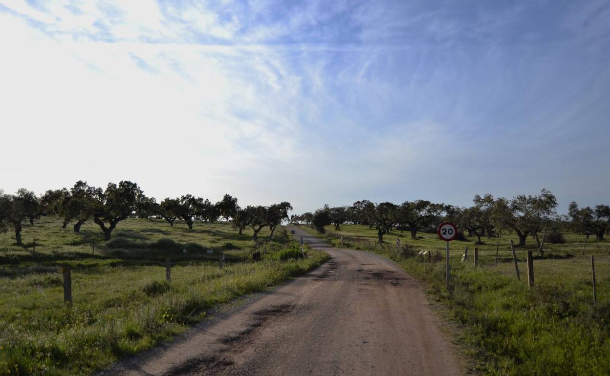 Camino rural en Villanueva del Fresno.