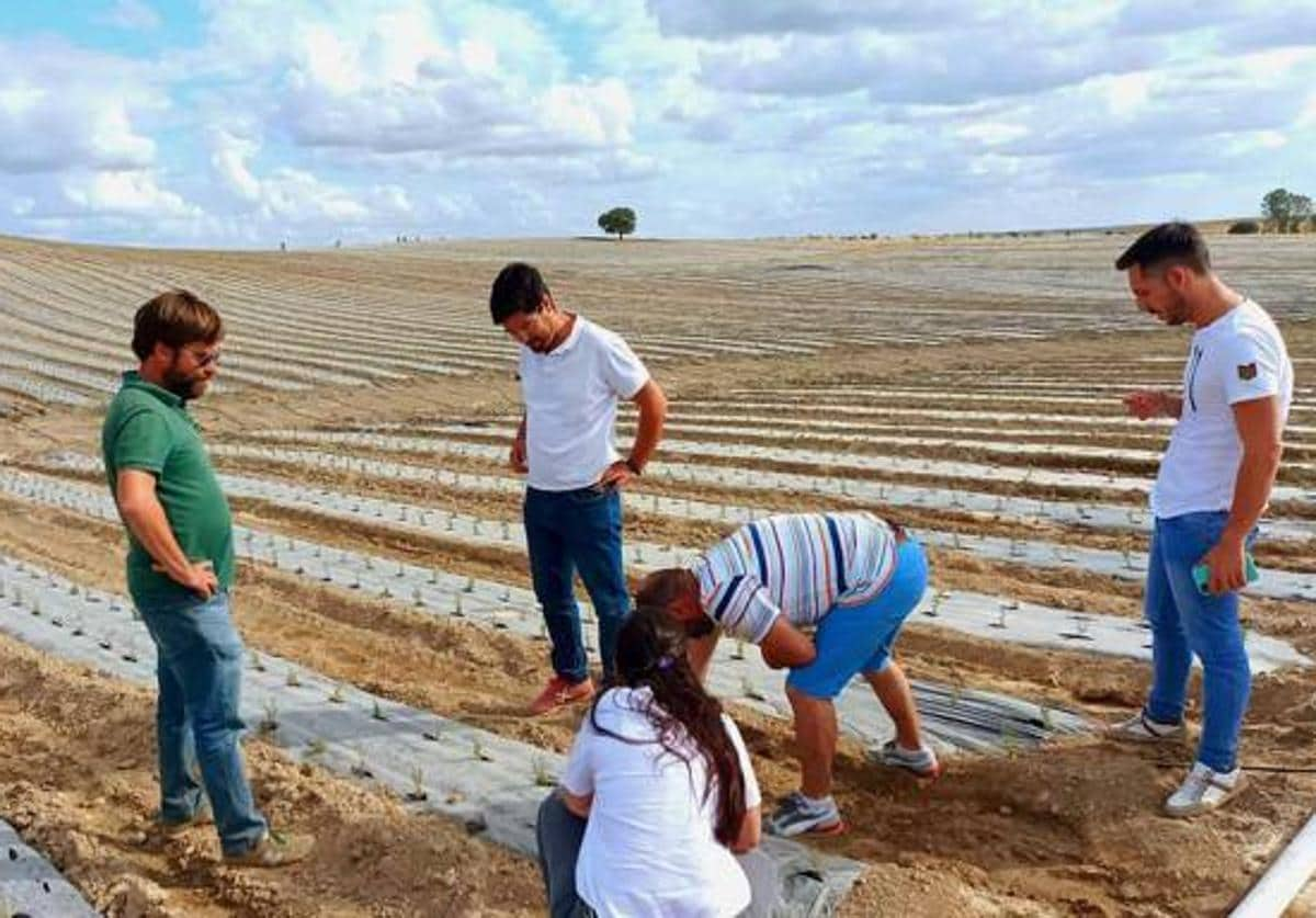 El equipo de gobierno asistió al comienzo de la planatación en junio de 2022.