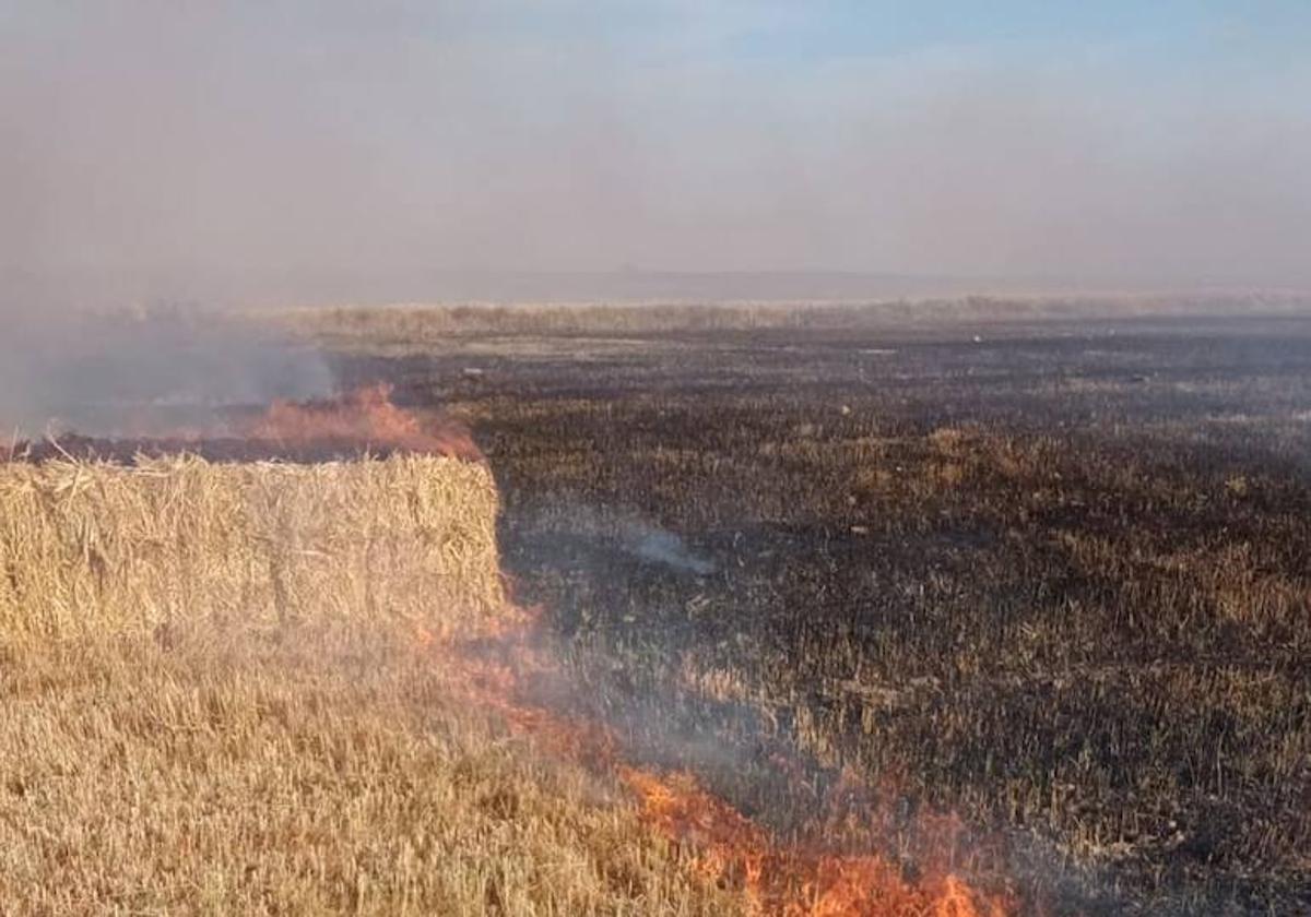 Los Bomberos Voluntarios impiden que se extienda un incendio en Las Campiñas