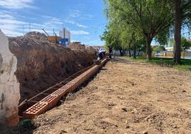 Instalación del nuevo césped.