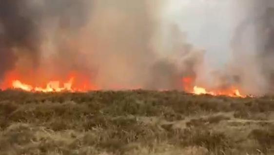 Un rayo provoca un incendio en una zona de pasto en El Ejido