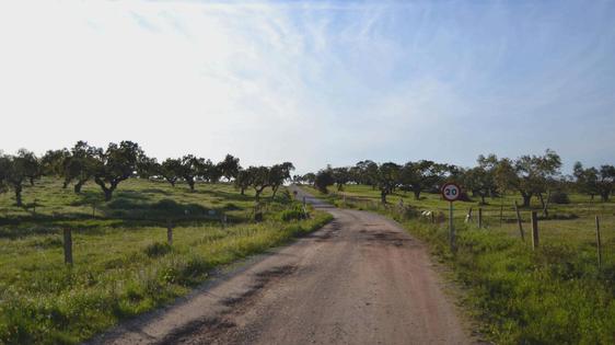 El Ayuntamiento organiza la II Ruta de Recogida de Basuraleza