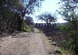 camino rural del Convento de la Luz.