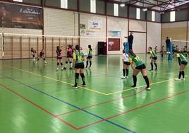 Imagen de archivo de un partido de volei.