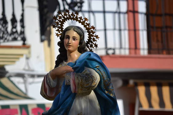 La Parroquia celebra la novena de su titular la Inmaculada Concepción