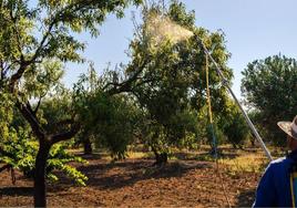 La Universidad Popular oferta un curso de 'Aplicador de Productos Plaguicidas de Uso Agrario'