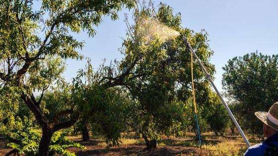 La Universidad Popular oferta un curso de 'Aplicador de Productos Plaguicidas de Uso Agrario'