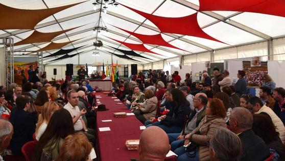 Una original cata a ciegas de licores extremeños inaugurará esta sección de la Feria del Gurumelo