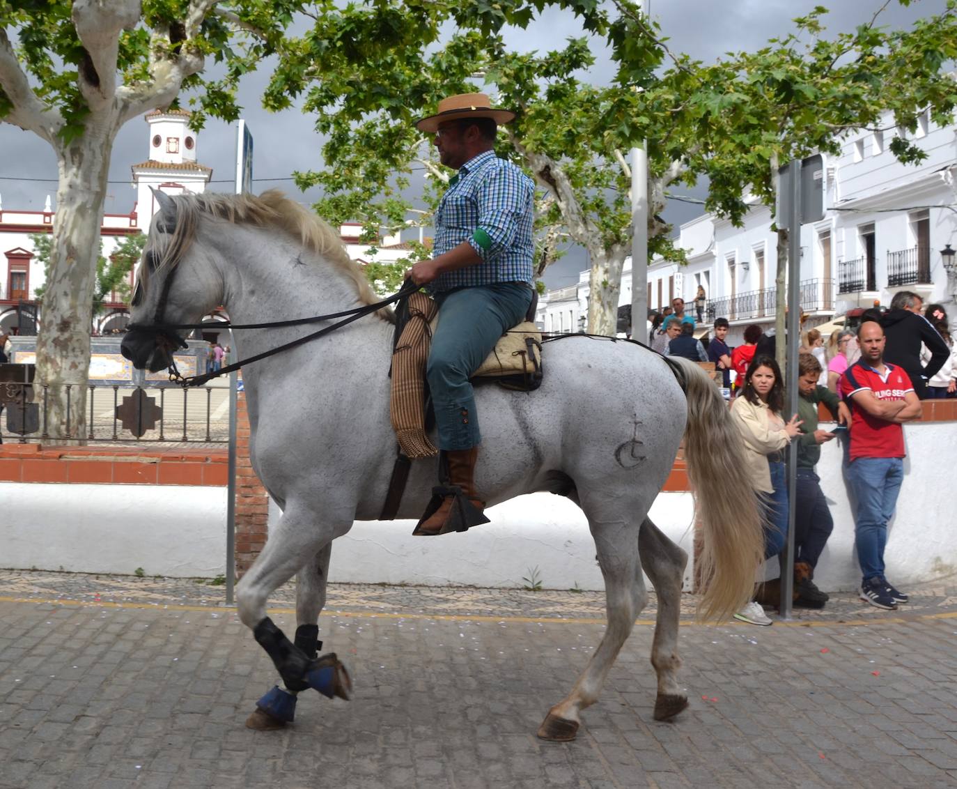 La lluvia respetó la tradicional romería en honor al Patrón San Ginés de la Jara