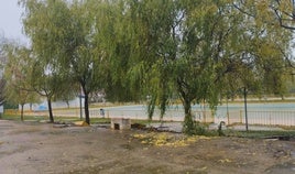 Estado en el que quedó el muro de la piscina.