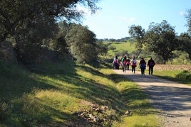 Imagen de salida de una de las rutas.