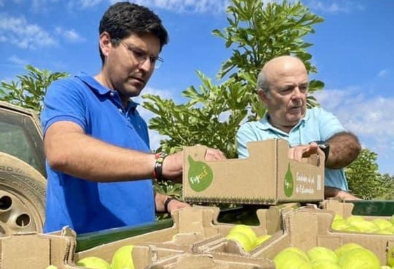 'Figos del Fresno' recolecta los primeros higos en los Bienes Comunales